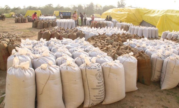 Metric Ton Paddy : किसानों से इस खरीफ सीजन में 107.53 लाख  मीट्रिक टन धान की हुई है खरीदी