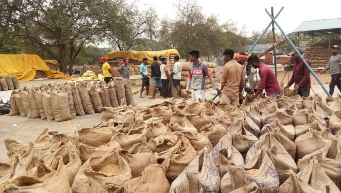 Purchase of Paddy : राज्य में 142.23 लाख मीट्रिक टन धान की खरीदी, किसानों को 29 हजार 318 करोड़ रूपए का भुगतान