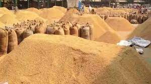 Paddy purchased in CG : छत्तीसगढ़ में धान खरीदी का लक्ष्य पहले ही हो चुका है पूरा, राज्य में अब 4 फरवरी तक होगी समर्थन मूल्य पर धान खरीदी