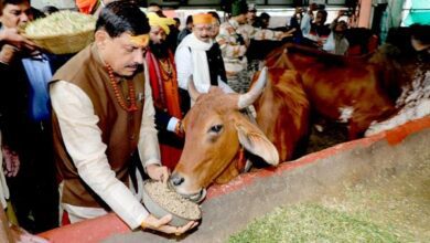 MP CM In Ujjain : म.प्र के मुख्यमंत्री डॉ. मोहन यादव ने उज्जैन में गौशाला और आश्रमों का किया भ्रमण